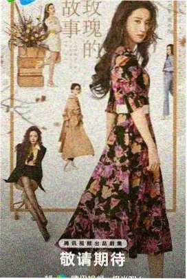 风骚律师
